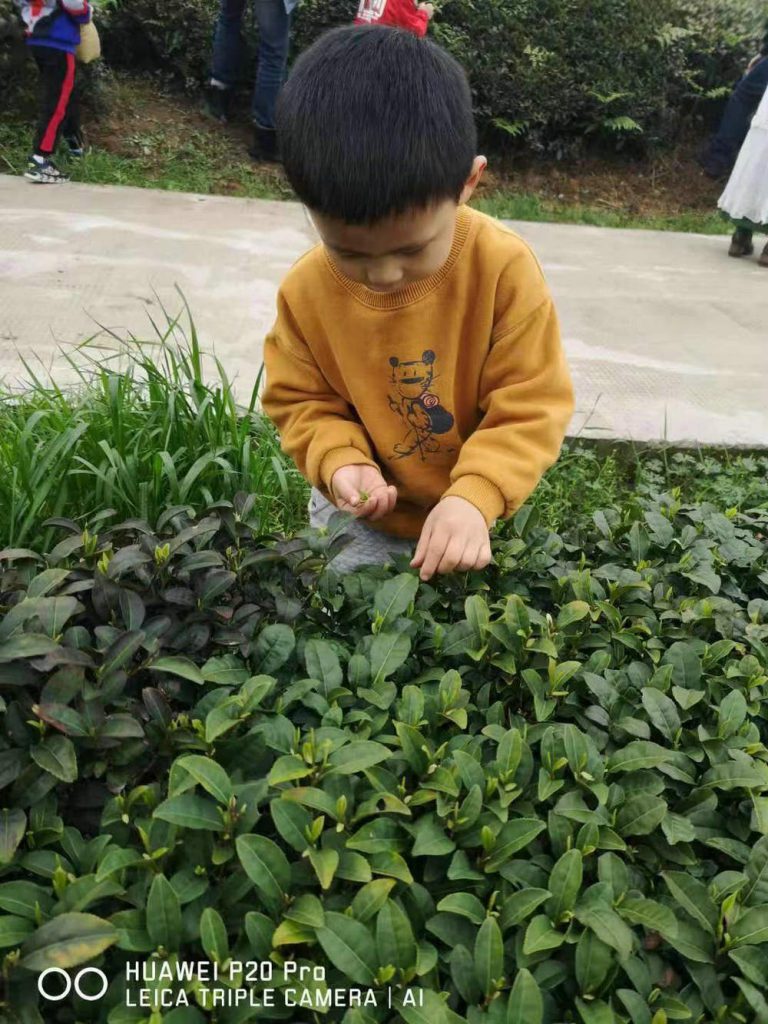 Tea founder's grandson