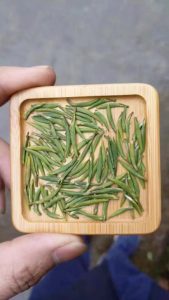 Naxi Tezao tea Naxi Tezao tea