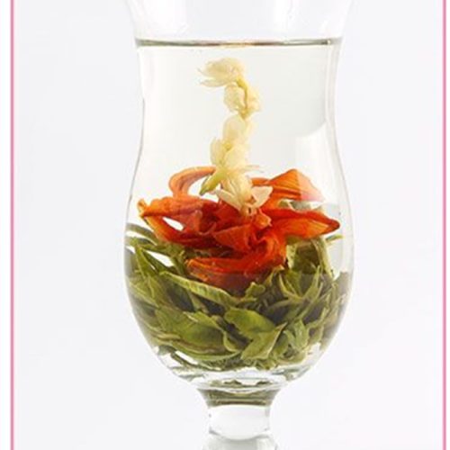 Autumn Beauty Autumn Beauty