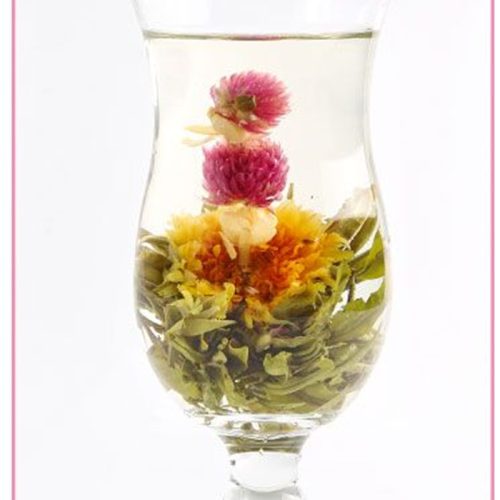 Brilliance Splendor Brilliance Splendor