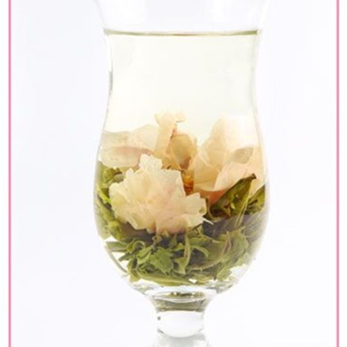 Exquisite Beauty Exquisite Beauty