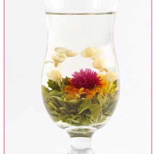 Fall In Love At First Sight Fall In Love At First Sight