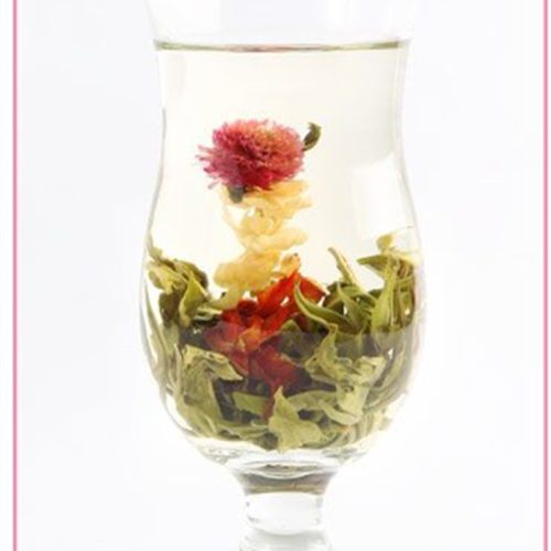 Golden Dragon's Pearl Golden Dragon's Pearl