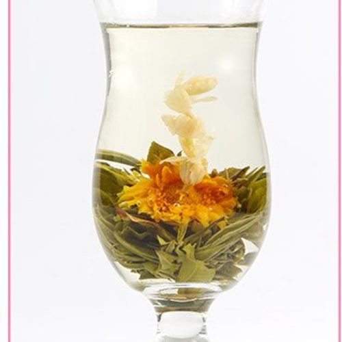 Jasmine Fairy Jasmine Fairy