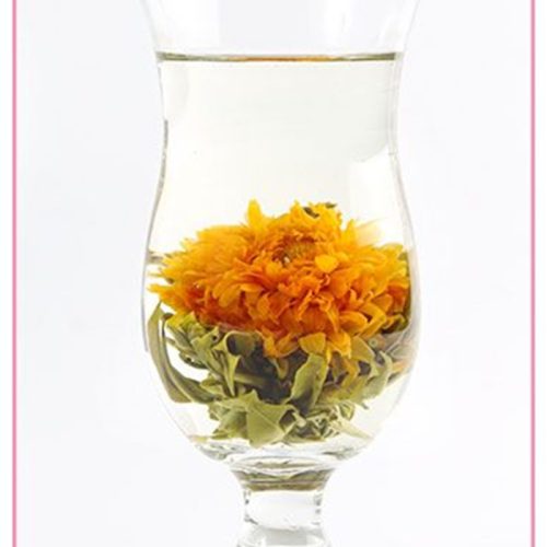 Silver Calendula Silver Calendula