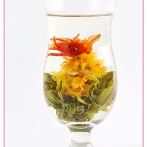 Slim And Graceful Slim And Graceful