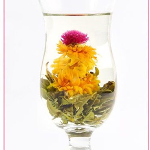 Wallamoppi Wallamoppi