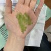 微信图片_20240709210241 Organic Matcha Ceremonial Grade AAA