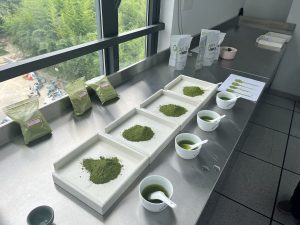 Matcha Selection