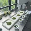 微信图片_20240712212717 Organic Matcha Ceremonial Grade 4A —— Grade 5A