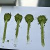 微信图片_20240712212734 Organic Matcha Ceremonial Grade AA