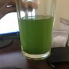 微信图片_20240712220921 Organic Matcha Ceremonial Grade AA