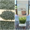 Zhi Qinghe maofeng green tea Zhi Qinghe cloud mist green tea