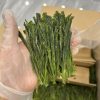 Taiping Houkui Green TEA Grade AA Taiping Houkui Green TEA Grade AA
