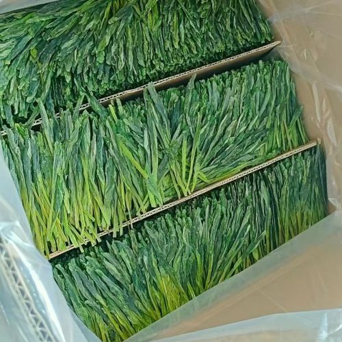 Taiping Houkui Green TEA Grade AAA Taiping Houkui Green TEA Grade AAA
