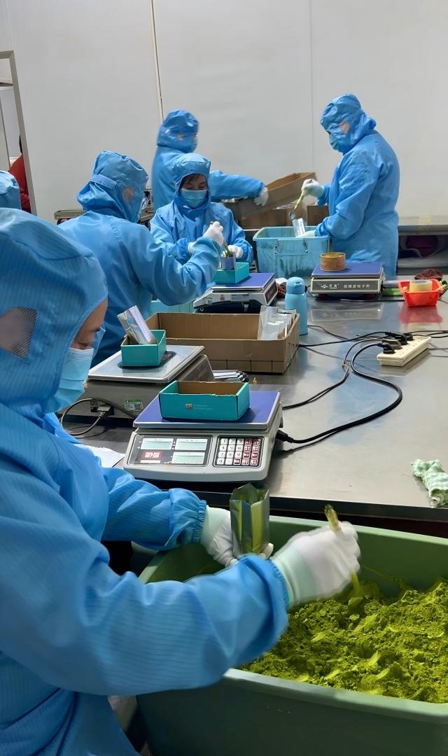 Hygienic matcha weighing and packing process with protective gear for export compliance