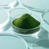 Chlorella Matcha Green Tea Chlorella Matcha Green Tea