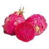 Dragon Fruit Dragon Fruit
