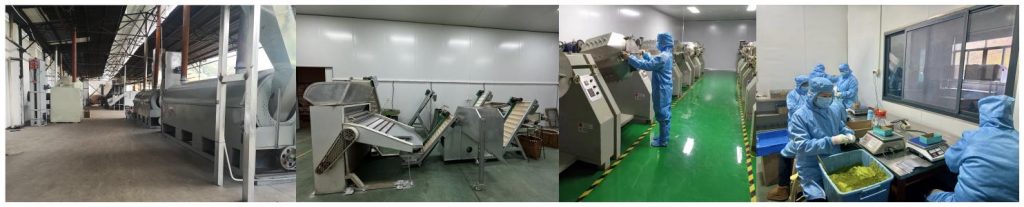 Matcha packaging workshop and equipment
