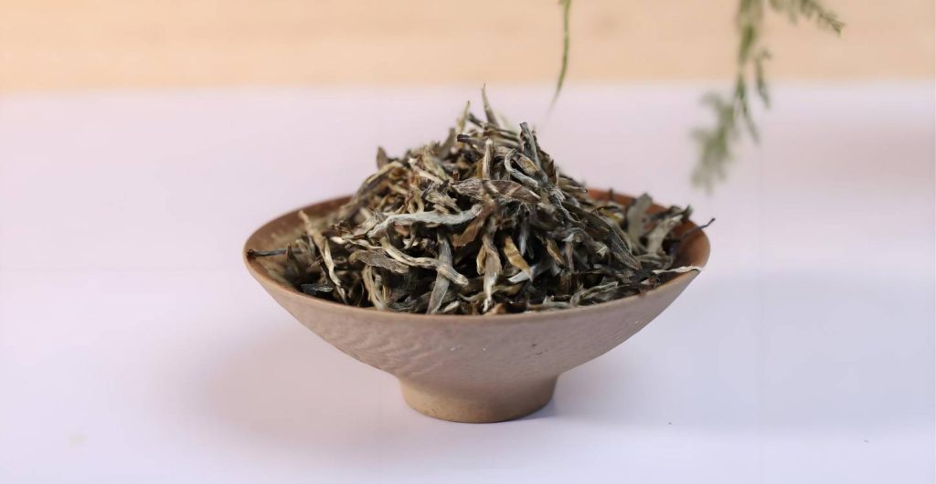 Silver Needle loose leaf white tea