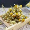 Chamomile Dried Flower Chamomile