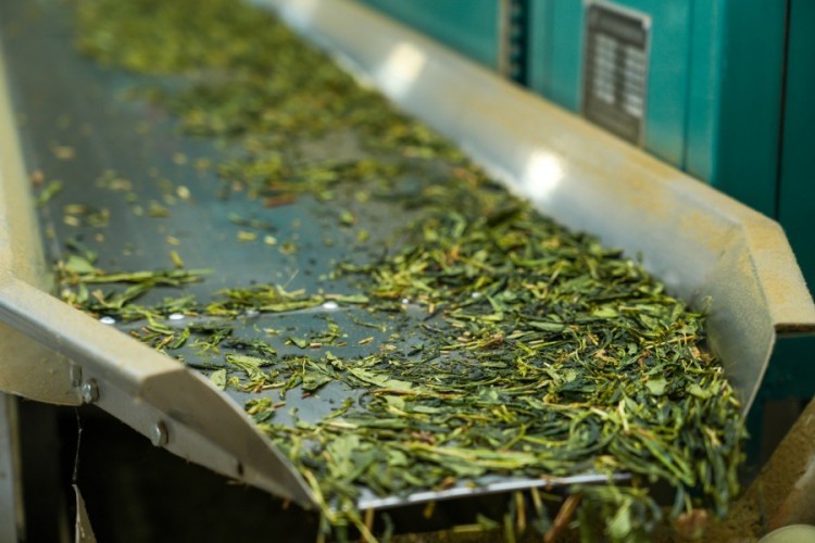 Hangzhou Zhiqinghe Tea Tech Co.,Ltd