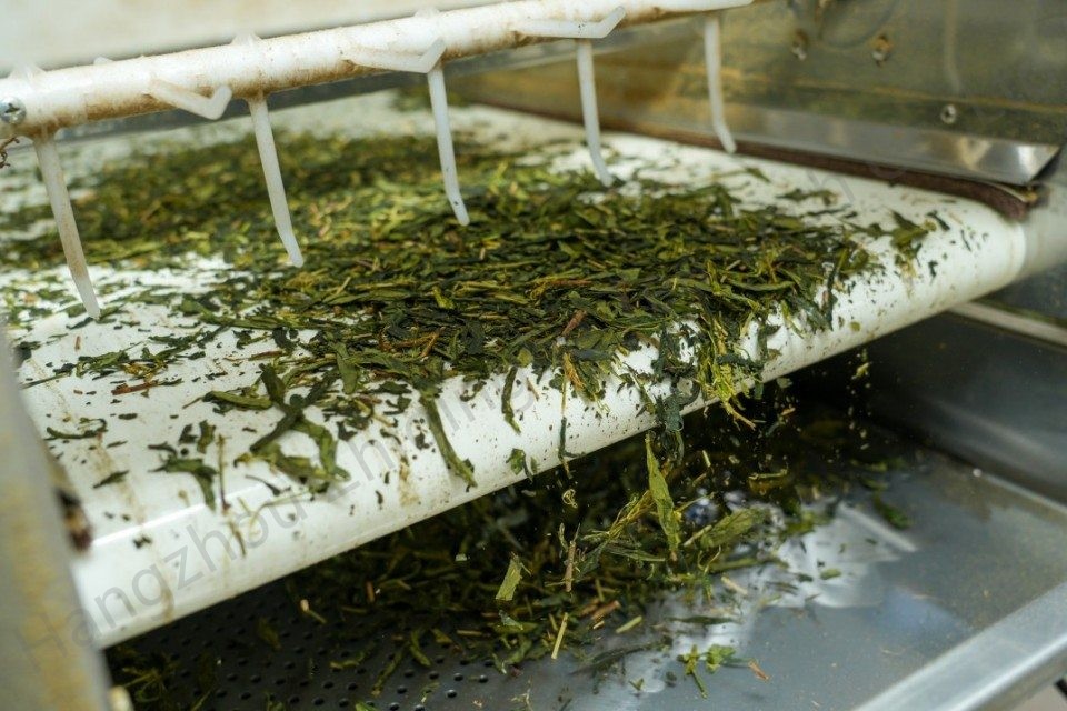 Top Matcha Ingredients for Spring 2025- Dried Fresh Leaves