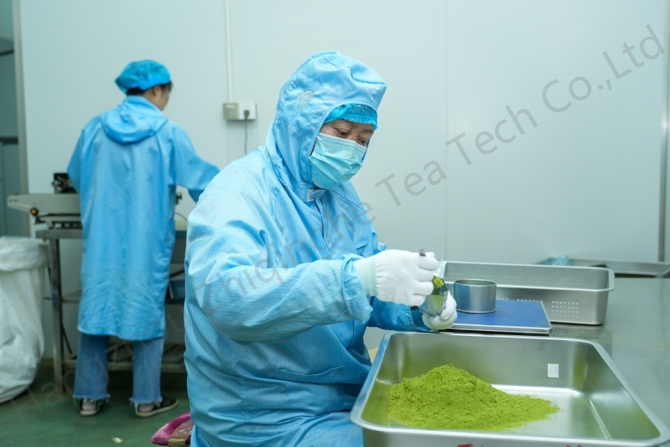 Workers at Hangzhou Zhiqinghe Tea Factory are packaging organic matcha powder