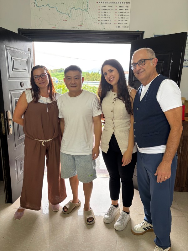 Friends from Italy just have been arrived organic matcha factory meeting room