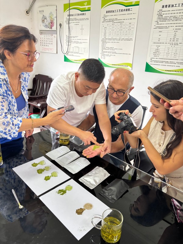 Staying together and evaluate different grades of matcha tea and hojicha