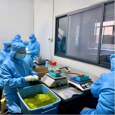 Matcha weighing and packaging on hygienic production line with protective gear