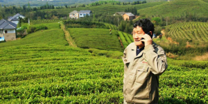 82-year-old Director Yuan