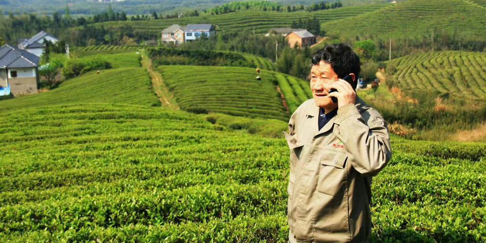 82-year-old Director Yuan