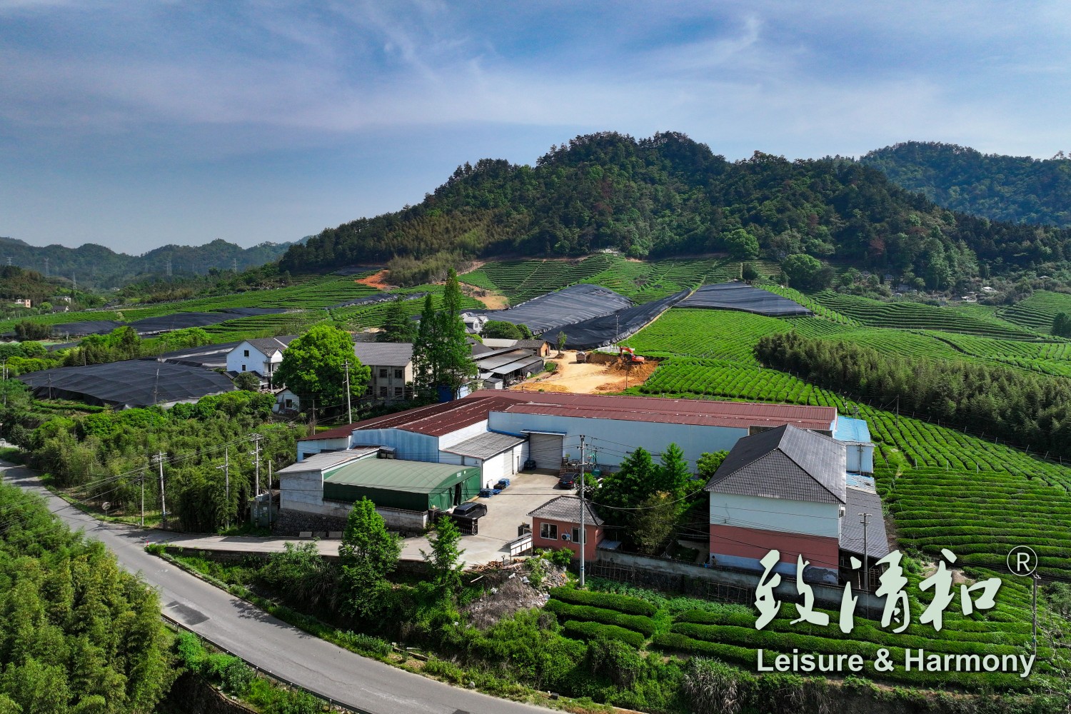 Aerial-View-of-Hangzhou-Zhiqinghe-Tea-Tech-Co.Ltd_.-Tea-Garden-and-Tea-Factory
