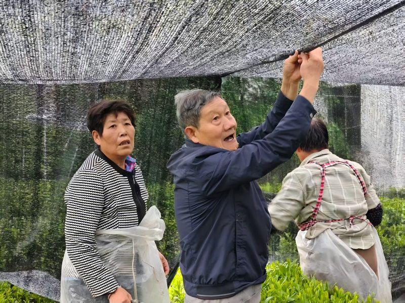 Director Yuan is guiding the black film covering
