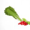 Cranberry Flavour Matcha Powder