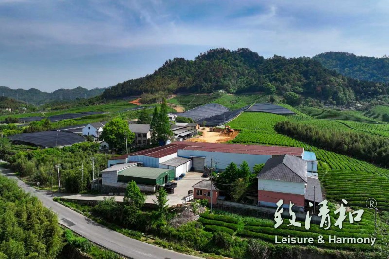 Full View of Zhiqinghe Tea Garden & Factory