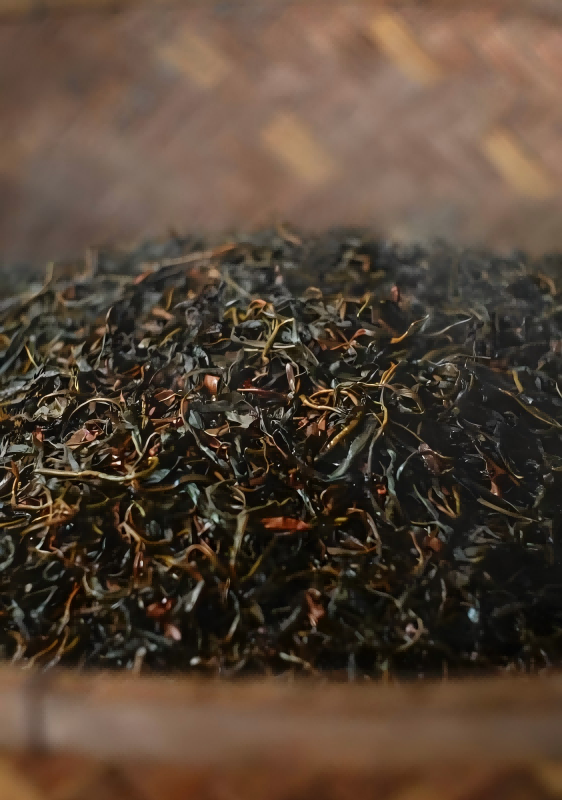 Cooling and Blending the Hojicha