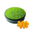 Kumquat Matcha Powder