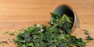 Matcha Powder
