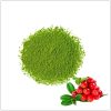 Lingonberry Flavour Matcha Powder Lingonberry Flavour Matcha Powder