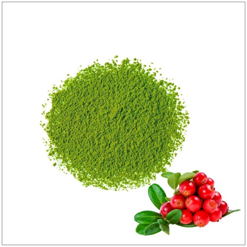 Lingonberry Flavour Matcha Powder