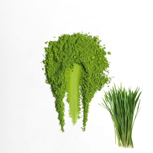 Barley Grass Flavour Matcha Powder Barley Grass Flavour Matcha Powder