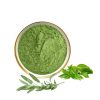 Sage Flavour Matcha Powder Sage Flavour Matcha Powder