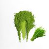 Wheatgrass Flavour Matcha Powder Wheatgrass Flavour Matcha Powder